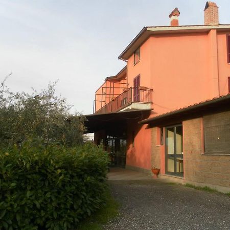 Il Contado B&B Castel Sant'Elia Ngoại thất bức ảnh
