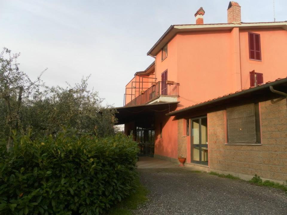 Il Contado B&B Castel Sant'Elia Ngoại thất bức ảnh